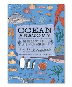 New 🔥 Workman | Ocean Anatomy Paperback 🎁